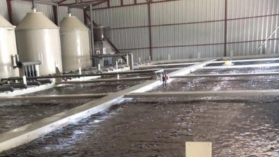 養(yǎng)殖污水為何難處理，用什么工藝?