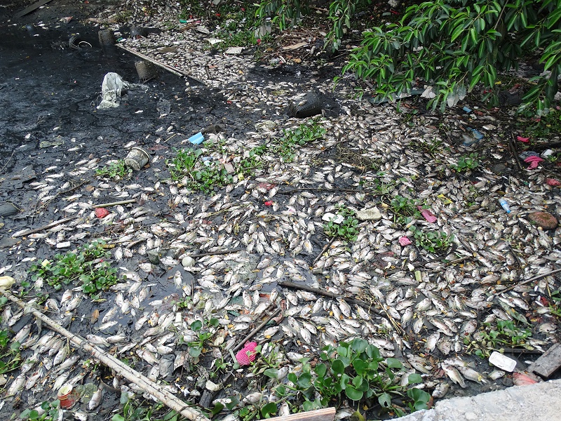 移動式水處理設備