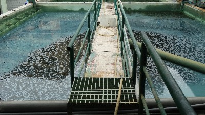 東莞污水處理設備-三人行環(huán)境