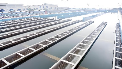 重金屬廢水處理技術(shù)研究進展與未來展望