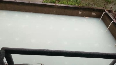 【三人行小課堂】造紙廢水哪些處理方法呢？