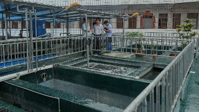 防染鹽廢水如何處理？