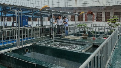 傳統(tǒng)線路板廢水處理工藝存在的致命缺點(diǎn)