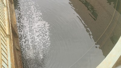 含甲醛廢水處理方法